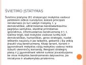 Mokyklos strateginis valgymas. Jo planavimas 6 puslapis