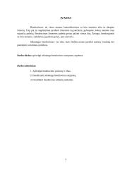Sėkmingo bendravimo samprata 3 puslapis