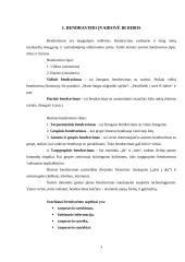 Sėkmingo bendravimo samprata 4 puslapis