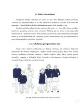 Moksleivių požiūris į aprangą mokykloje 11 puslapis