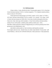 Moksleivių požiūris į aprangą mokykloje 12 puslapis