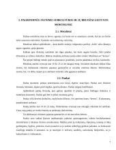 Moksleivių požiūris į aprangą mokykloje 7 puslapis