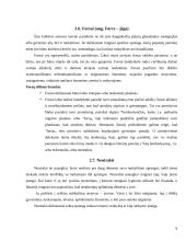 Moksleivių požiūris į aprangą mokykloje 9 puslapis