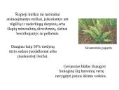 Marijampolės rajono savivaldybių biologinė įvairovė ir teisinė apsauga 11 puslapis