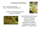 Marijampolės rajono savivaldybių biologinė įvairovė ir teisinė apsauga 7 puslapis