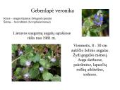 Marijampolės rajono savivaldybių biologinė įvairovė ir teisinė apsauga 8 puslapis