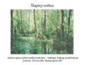 Marijampolės rajono savivaldybių biologinė įvairovė ir teisinė apsauga 10 puslapis