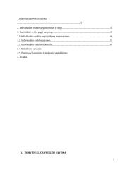 Fizinio asmens individuali veikla su VMI pažyma