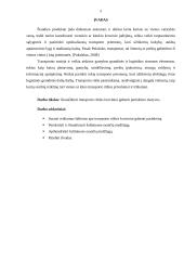 Transporto rūšies parinkimo motyvai gabenti kroviui 2 puslapis