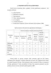 Transporto rūšies parinkimo motyvai gabenti kroviui 3 puslapis