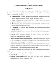 Transporto rūšies parinkimo motyvai gabenti kroviui 4 puslapis