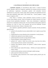 Transporto rūšies parinkimo motyvai gabenti kroviui 6 puslapis