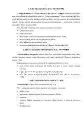 Transporto rūšies parinkimo motyvai gabenti kroviui 7 puslapis