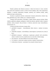 Transporto rūšies parinkimo motyvai gabenti kroviui 9 puslapis