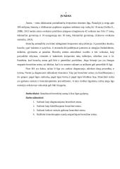 Bronchinė astma ir jos gydymas 2 puslapis