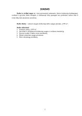 Darbo ir civilinė sauga įmonėje „UPS‘as“ 2 puslapis