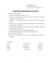 Darbo ir civilinė sauga įmonėje „UPS‘as“ 17 puslapis