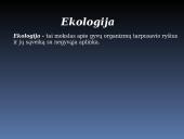 Ekologinės problemos skaidrės 2 puslapis