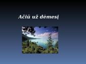Ekologinės problemos skaidrės 12 puslapis