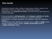 Ekologinės problemos skaidrės 4 puslapis