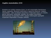 Ekologinės problemos skaidrės 5 puslapis