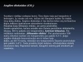 Ekologinės problemos skaidrės 6 puslapis