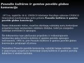 Ekologinės problemos skaidrės 9 puslapis