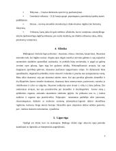 Netradiciniai gydymo būdai. Skrandžio opaligė 3 puslapis