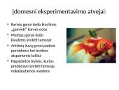 Požiūris į genetiškai modifikuotus produktus 11 puslapis