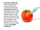 Požiūris į genetiškai modifikuotus produktus 3 puslapis