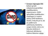 Požiūris į genetiškai modifikuotus produktus 4 puslapis