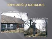 Kražių skerdynės, knygnešiai 13 puslapis