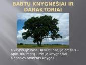 Kražių skerdynės, knygnešiai 17 puslapis