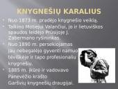 Kražių skerdynės, knygnešiai 9 puslapis