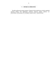 Dokumentų pavyzdžiai, jų rengimas 11 puslapis