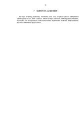 Dokumentų pavyzdžiai, jų rengimas 16 puslapis