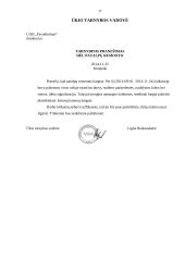 Dokumentų pavyzdžiai, jų rengimas 17 puslapis