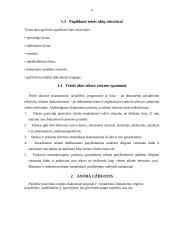 Dokumentų pavyzdžiai, jų rengimas 4 puslapis