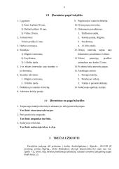 Dokumentų pavyzdžiai, jų rengimas 6 puslapis