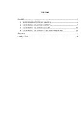 Ekonominio saugumo reikšmė nacionalinio saugumo kontekste