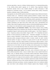 Ekonominio saugumo reikšmė nacionalinio saugumo kontekste 12 puslapis