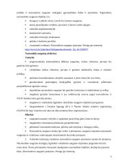 Ekonominio saugumo reikšmė nacionalinio saugumo kontekste 4 puslapis