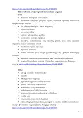 Ekonominio saugumo reikšmė nacionalinio saugumo kontekste 5 puslapis