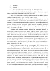 Ekonominio saugumo reikšmė nacionalinio saugumo kontekste 8 puslapis