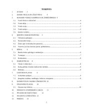 Greito maisto restorano „Burger“ verslo planas 2 puslapis