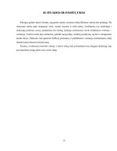 Greito maisto restorano „Burger“ verslo planas 13 puslapis