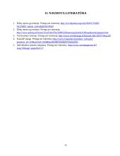 Greito maisto restorano „Burger“ verslo planas 14 puslapis