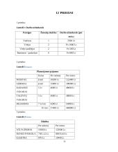 Greito maisto restorano „Burger“ verslo planas 15 puslapis