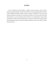 Greito maisto restorano „Burger“ verslo planas 4 puslapis