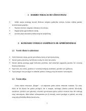 Greito maisto restorano „Burger“ verslo planas 5 puslapis